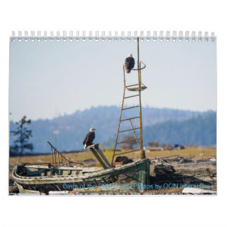 Calendario Aves del PNW