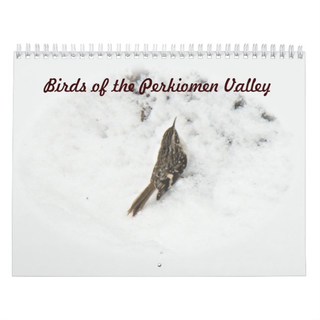 Calendario - Aves del Valle del Perkiomen (Tapa)