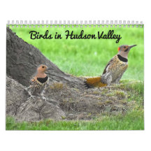 Aves en el Valle de Hudson