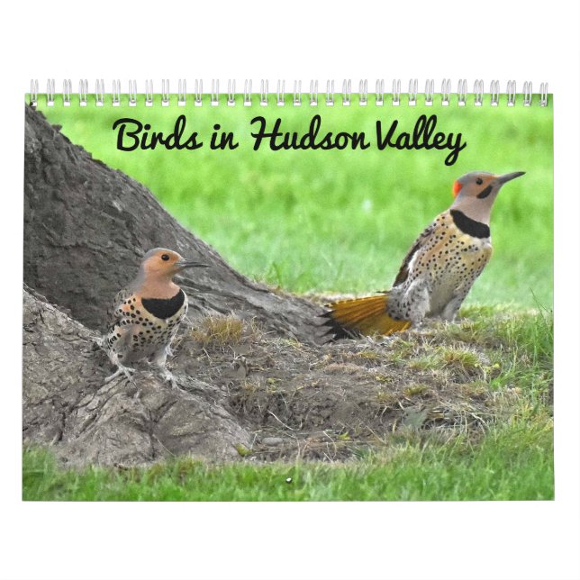 Calendario Aves en el Valle de Hudson (Tapa)