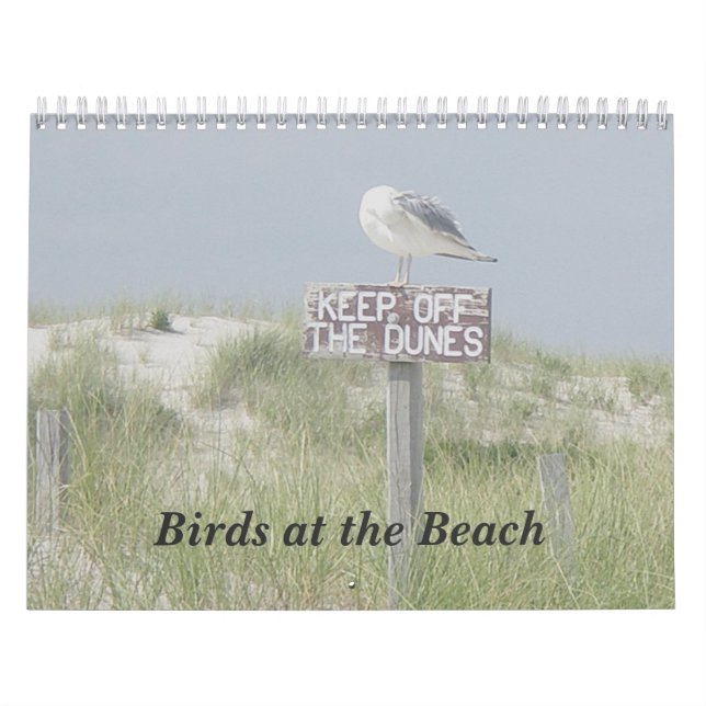 Calendario - Aves en la playa (Tapa)