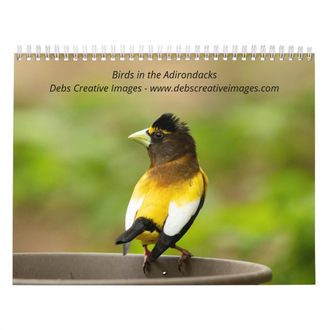 Calendario Aves en los Adirondacks 2026 (Tapa)