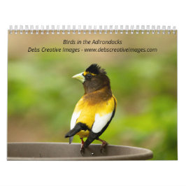 Calendario Aves en los Adirondacks 2026