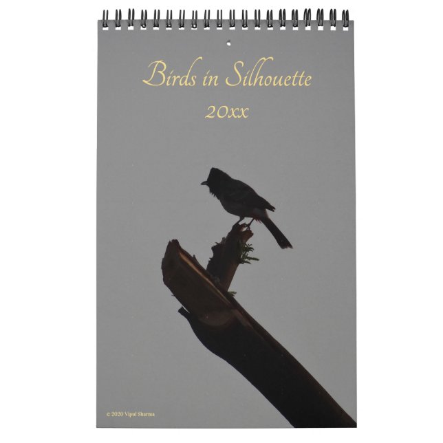 Calendario Aves en Silhouette 2026 Foto de naturaleza de la v (Tapa)