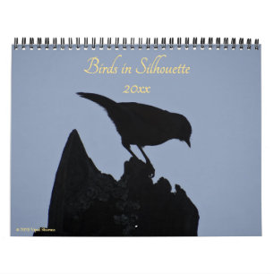 Calendario Aves en Silhouette Nature Photography 2025. Foto