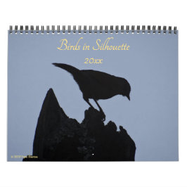 Calendario Aves en Silhouette Nature Photography 2026. Foto