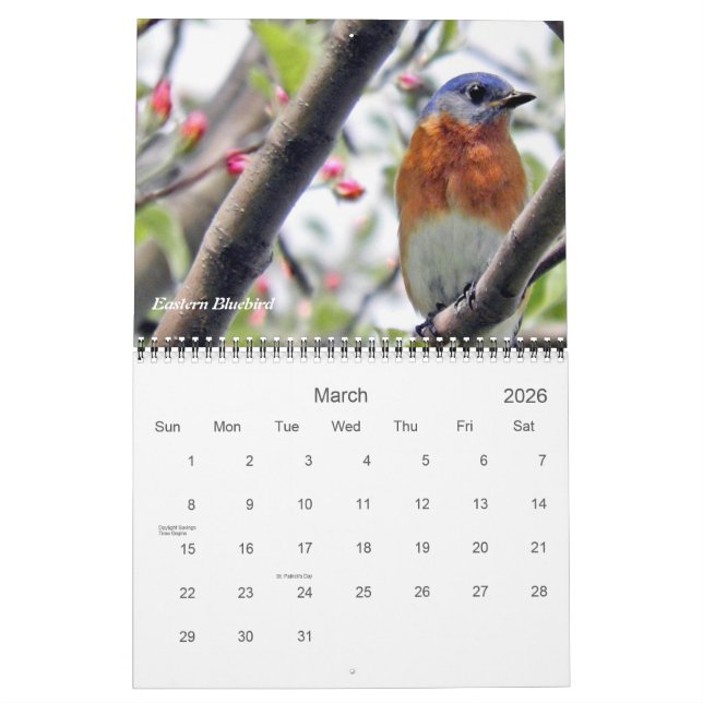 Calendario Aves en tu fotografía de patio trasero (Mar 2026)