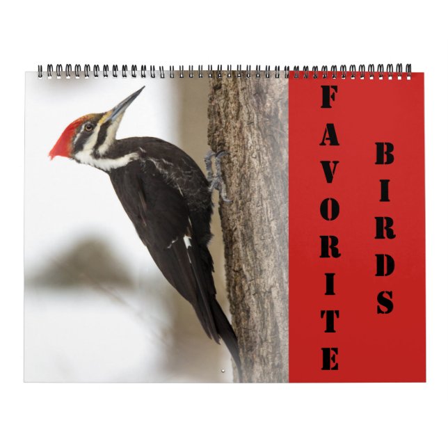 Calendario - Aves favoritas (Tapa)
