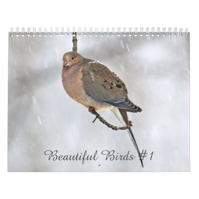 Calendario Aves hermosas #1 (Tapa)