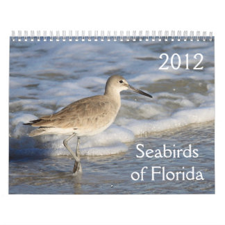 Calendario Aves marinas de la Florida 2012