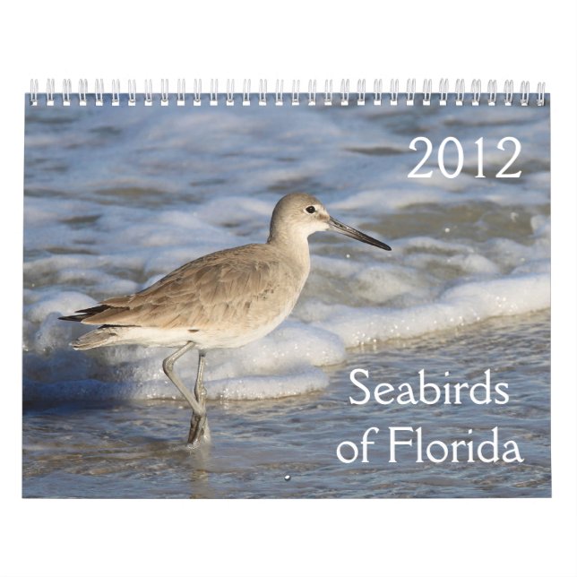 Calendario Aves marinas de la Florida 2012 (Tapa)