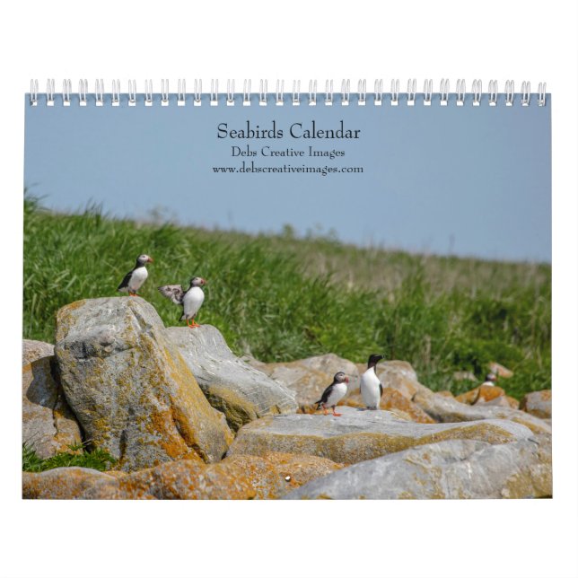 Calendario Aves marinas en Machias Seal Island 2026 (Tapa)
