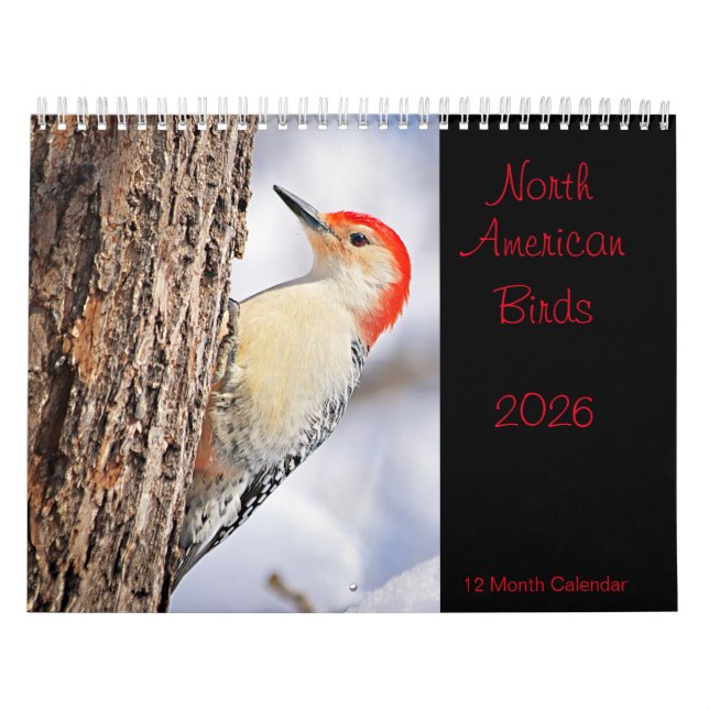 Calendario Aves Norteamericanas 2026 (Tapa)