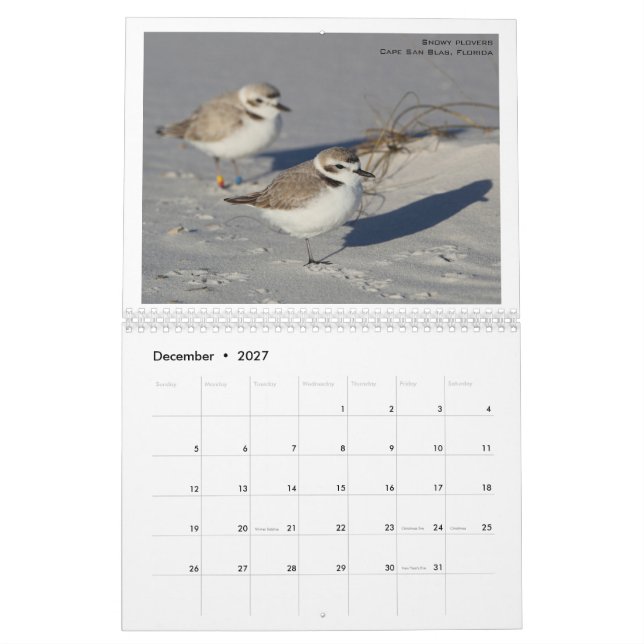 Calendario Aves norteamericanas por Emily Willoughby (Dec 2027)