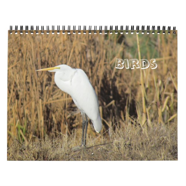 Calendario - Aves para Año Nuevo (Tapa)