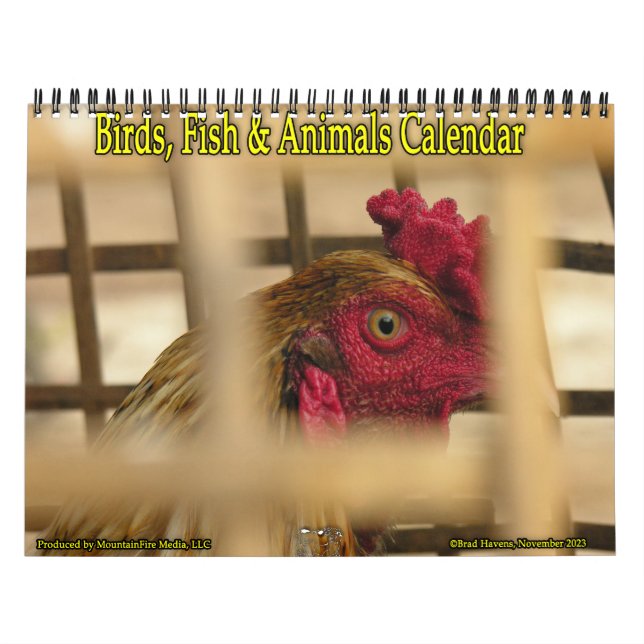 Calendario Aves, peces y otros animales exóticos (Tapa)