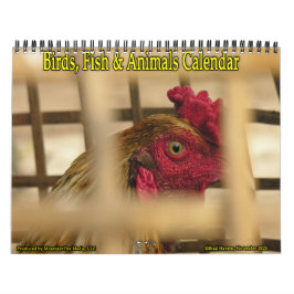 Calendario Aves, peces y otros animales exóticos