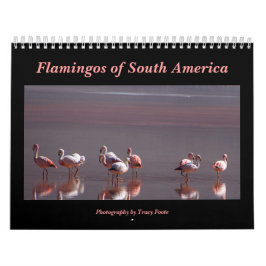 Calendario Aves salvajes de Flamingo en Sudamérica