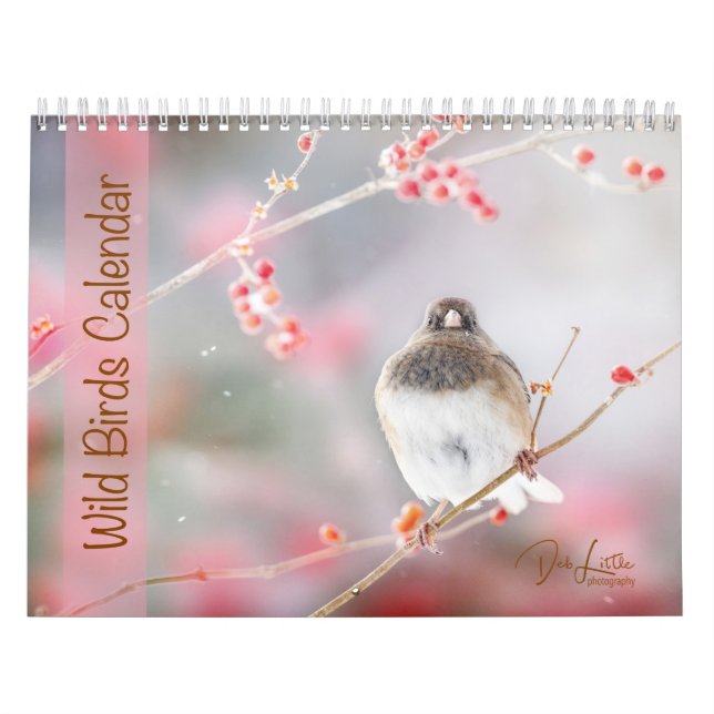 Calendario Aves silvestres (Tapa)