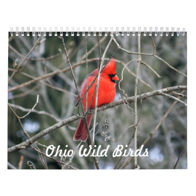 Calendario Aves silvestres de Ohio (Tapa)