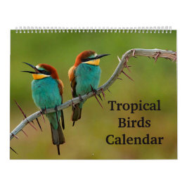 Calendario Aves tropicales