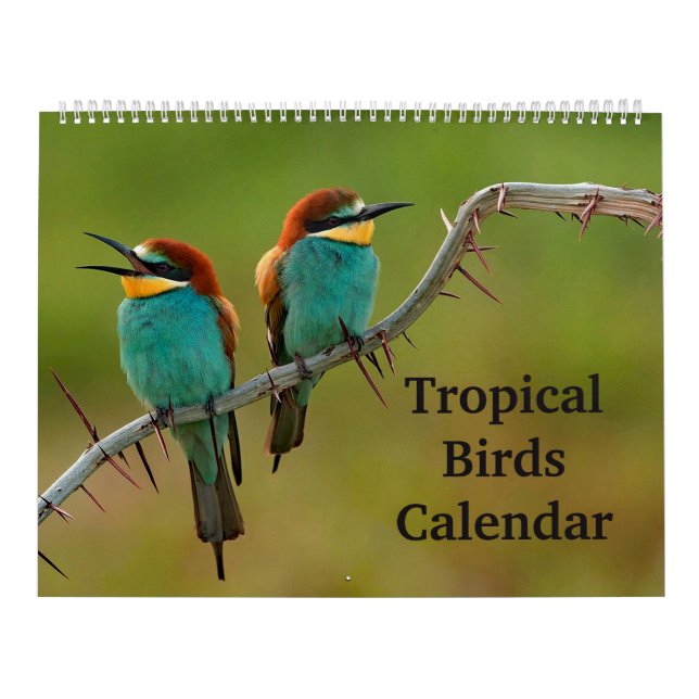 Calendario Aves tropicales (Tapa)