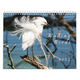 Calendario Aves viejas de Estados Unidos - Foto original
