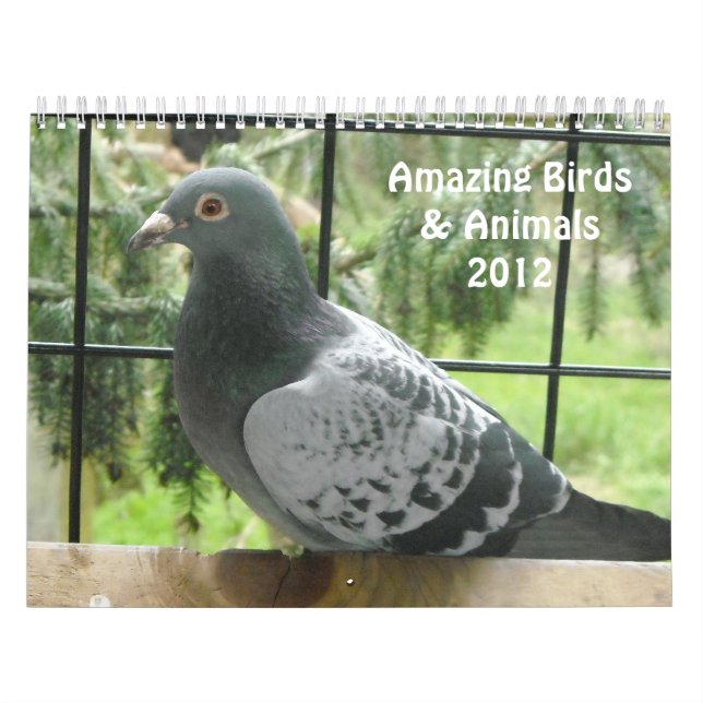 Calendario Aves y animales asombrosos 2012 (Tapa)