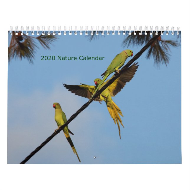 Calendario Aves y Flores 2020 (Tapa)