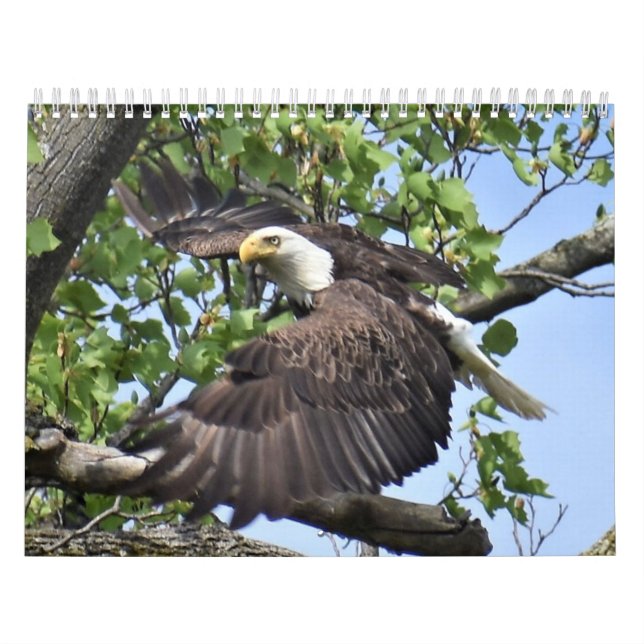 Calendario Aves y Patos (Tapa)