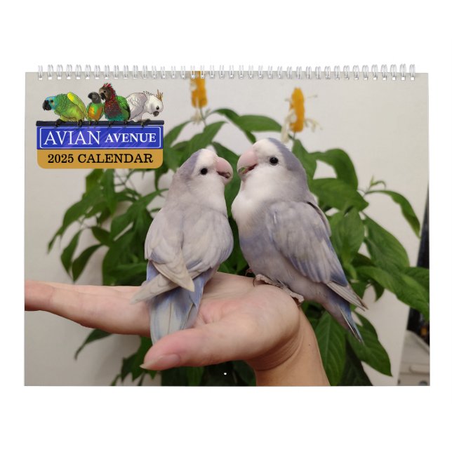 Calendario Avian Avenue 2025 Parrot Calendar (Tapa)