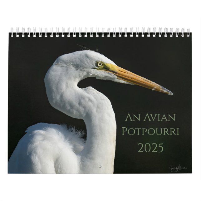 Calendario Avian Potpourri 2025 (Tapa)