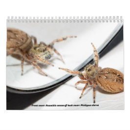 Calendario Awwsomest Jumping Spiders