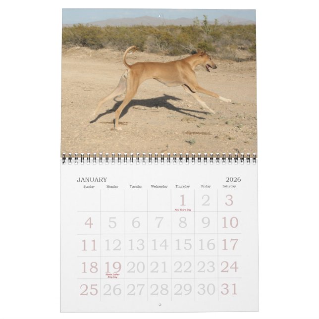 Calendario Azawakh 2011 (Jan 2026)