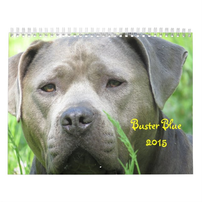 Calendario azul Buster (Tapa)