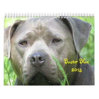 Calendario azul Buster