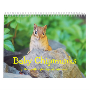 Calendario Baby Chipmunks 2013/2014 (calendario de 16 meses)