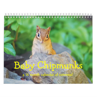 Calendario Baby Chipmunks 2014/2015 (calendario de 16 meses)