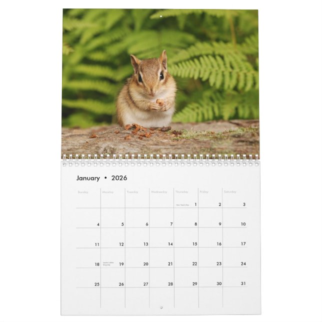 Calendario Baby Chipmunks 2014/2015 (calendario de 16 meses) (Jan 2026)