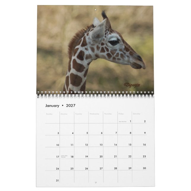 Calendario Baby Giraffe 2012 (Jan 2027)