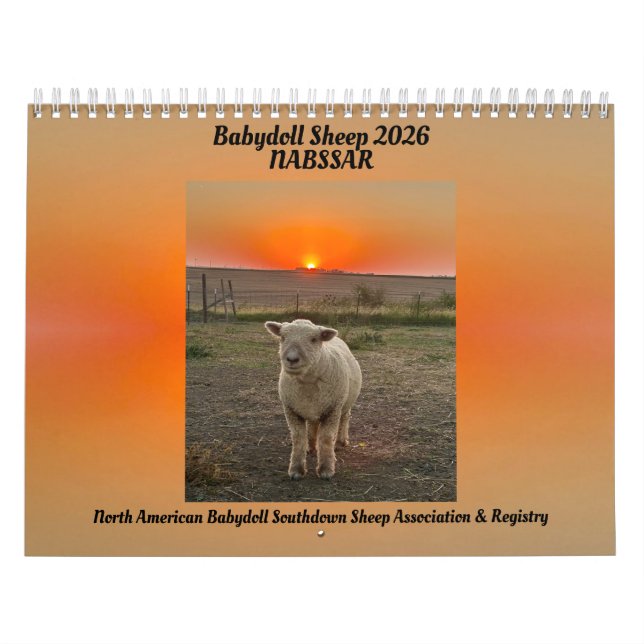 Calendario Babydoll Southdown Sheep 2026 NABSSAR Calendar (Tapa)