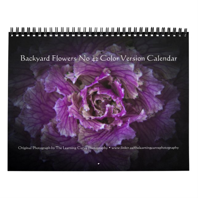 Calendario Backyard Flowers No 42 Color Version (Tapa)