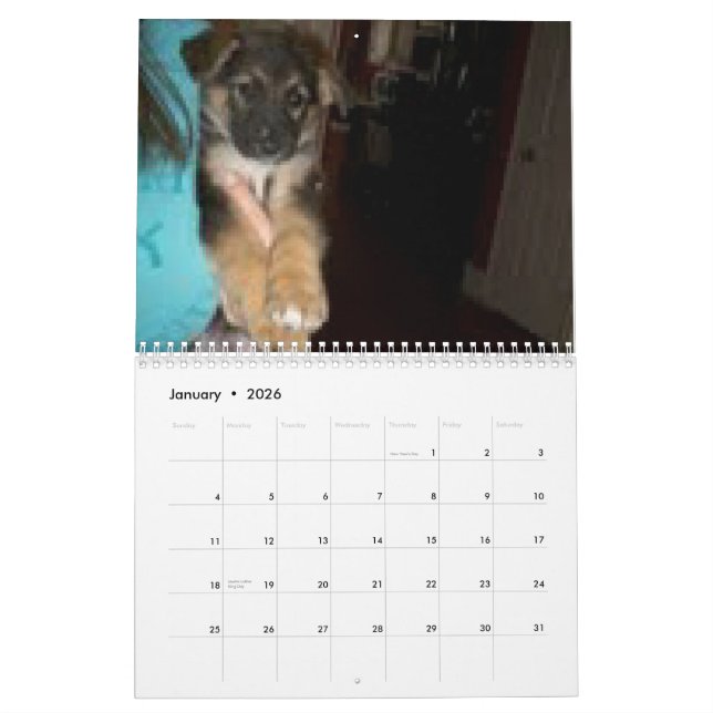 Calendario Baja/Hércules (Jan 2026)