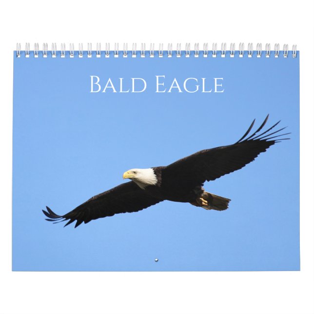 Calendario Bald Eagle (Tapa)