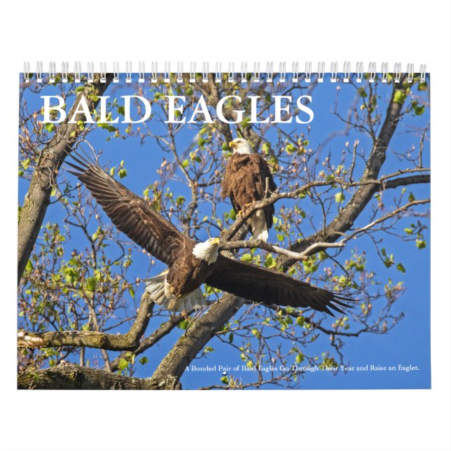 CALENDARIO BALD EAGLE LIFE (Tapa)