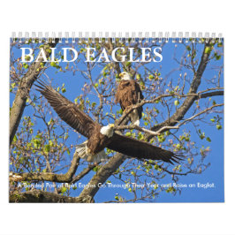 CALENDARIO BALD EAGLE LIFE