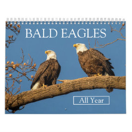 Calendario BALD EAGLES todo el año