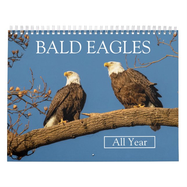Calendario BALD EAGLES todo el año (Tapa)