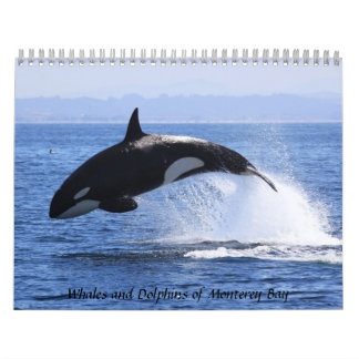 Calendario Ballenas y delfines de la bahía de Monterrey