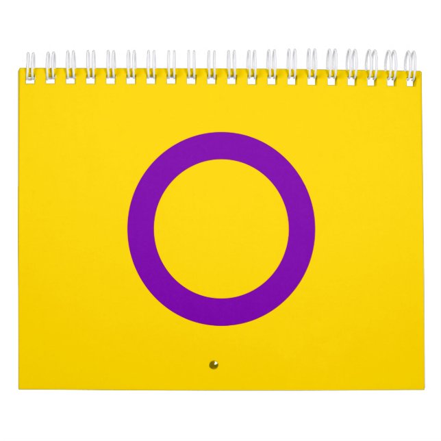 Calendario Bandera de orgullo intersexual (Tapa)